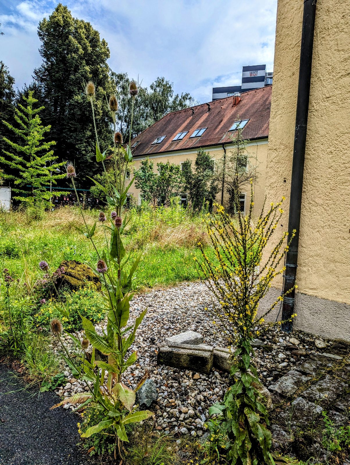 IT:U Fehlplanung, Standort Biologiezentrum – Presseaussendung