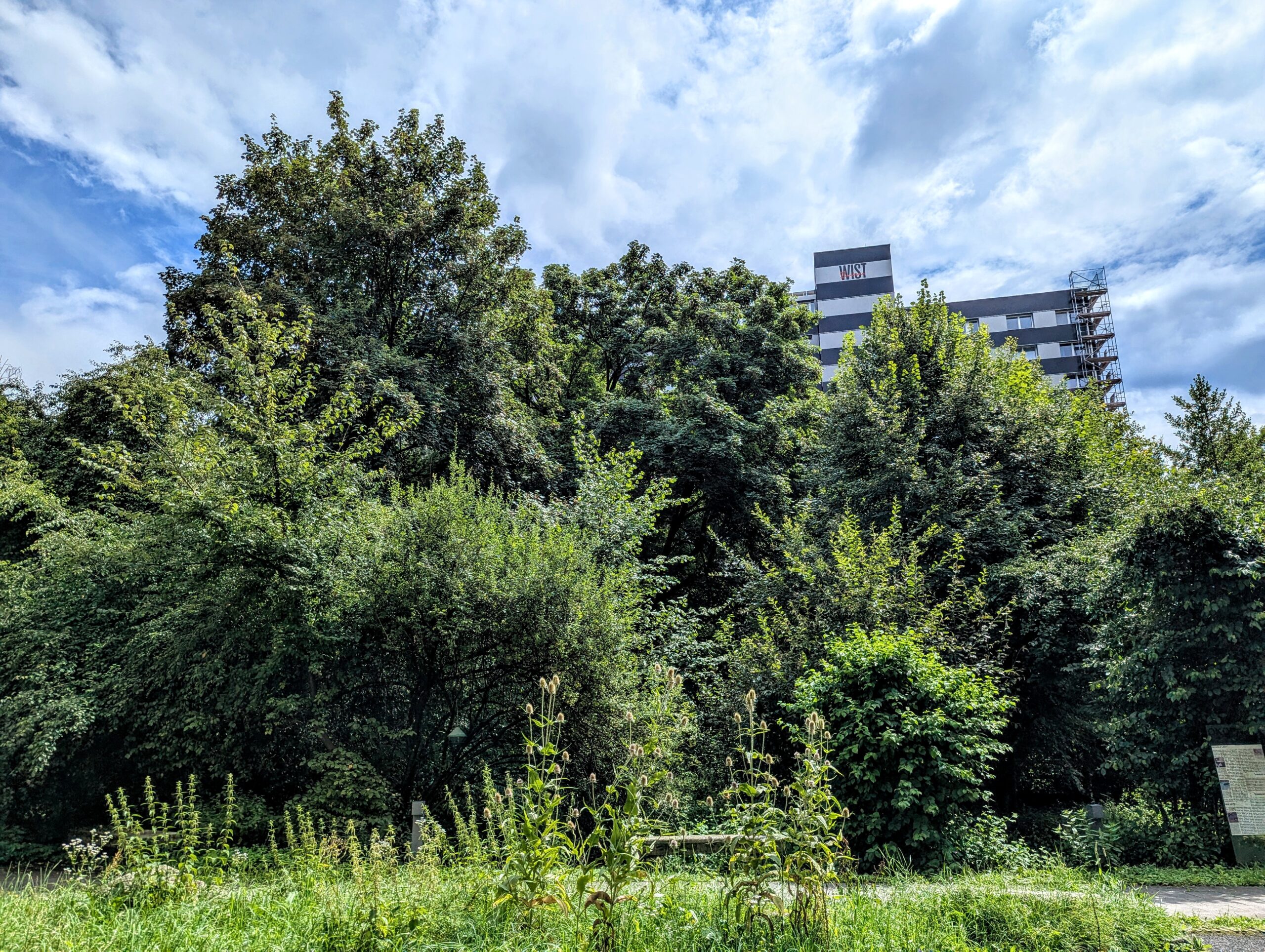 ALARMSIGNAL! Solidarität mit den Baumbesetzern im Bergschlösslpark: Wir stellen uns dem drohenden Kahlschlag für das IT:U-Prestigeprojekt beim Biodiversitätszentrum (Biologiezentrum) entgegen!